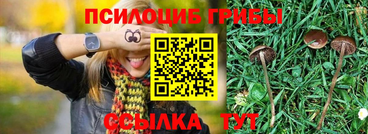 Галлюциногенные грибы мухоморы  Псилоцибиновые грибы GOLDEN TEACHER  Светлоград  закладка  Вход с VPN 