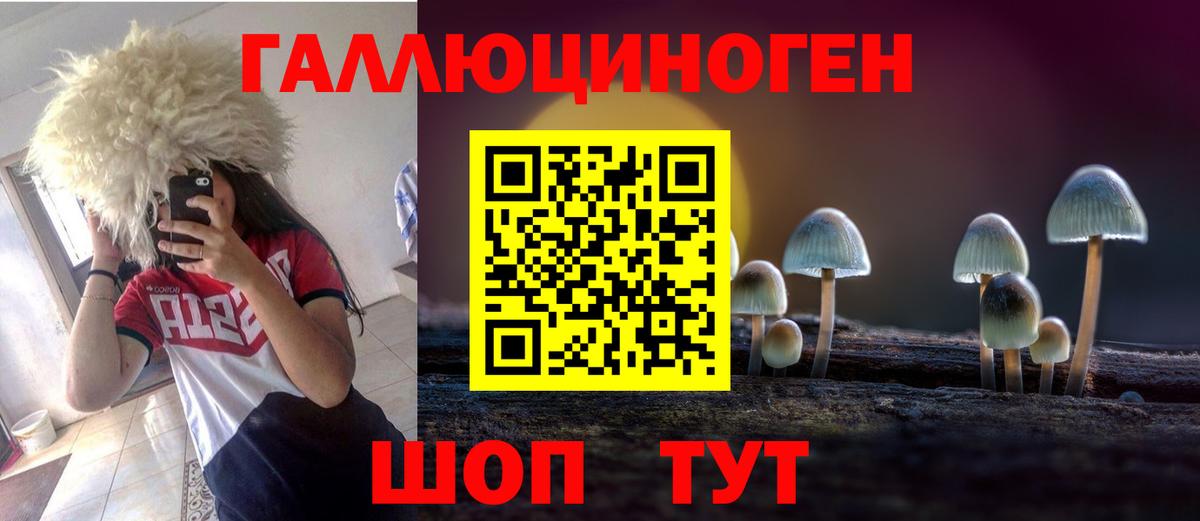 Псилоцибиновые грибы Cubensis Светлоград